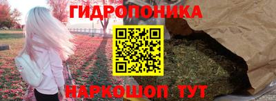 стафф Свободный