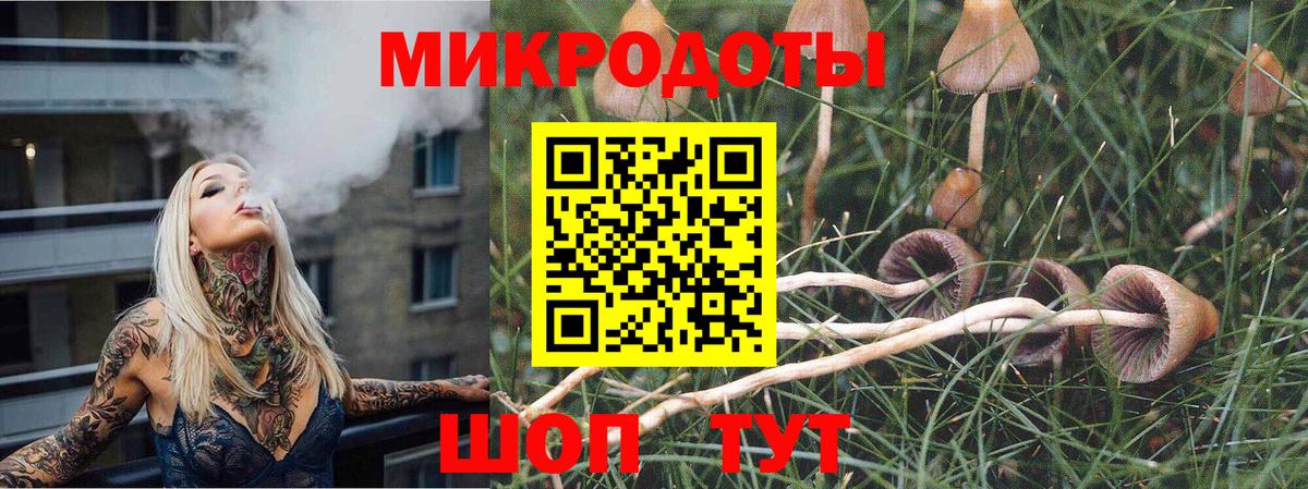 Петропавловск-Камчатский  Галлюциногенные грибы MAGIC MUSHROOMS  Вход с VPN 